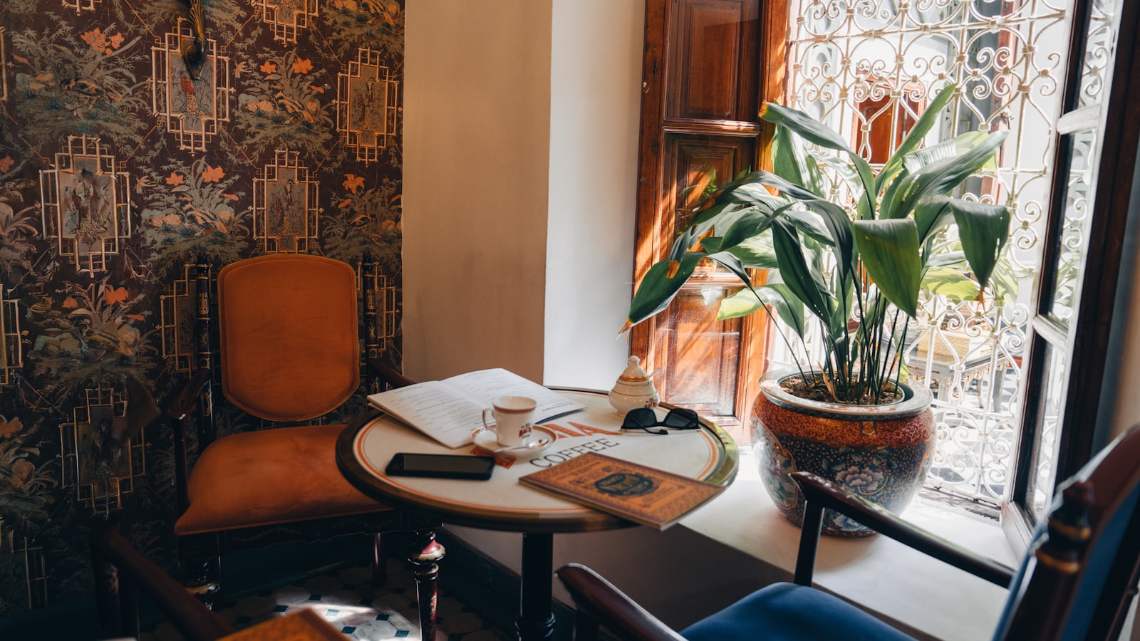 Why the VEVOR Push Lawn Sweeper Is a Smart Buy for Easy Yard Cleanup